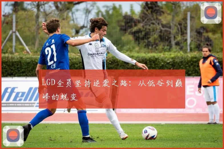 LGD全员坚持逆袭之路:从低谷到巅峰的蜕变