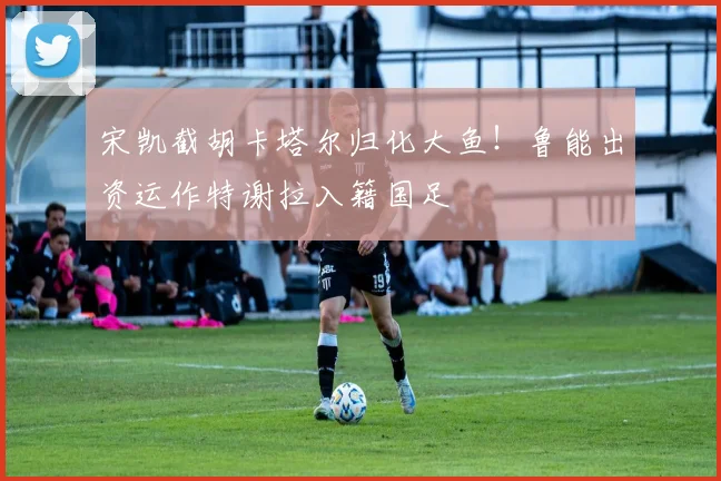 宋凯截胡卡塔尔归化大鱼！鲁能出资运作特谢拉入籍国足