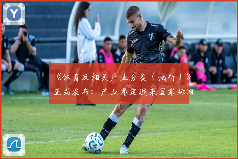 《体育及相关产业分类(试行)》正式发布:产业界定迎来国家标准