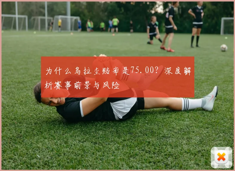 为什么乌拉圭赔率是75.00？深度解析赛事前景与风险