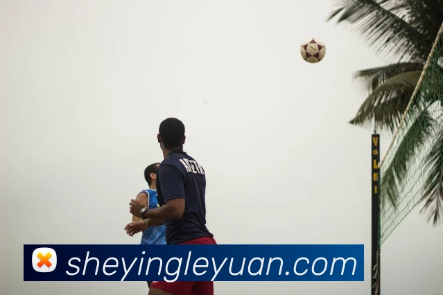 APP界面展示
